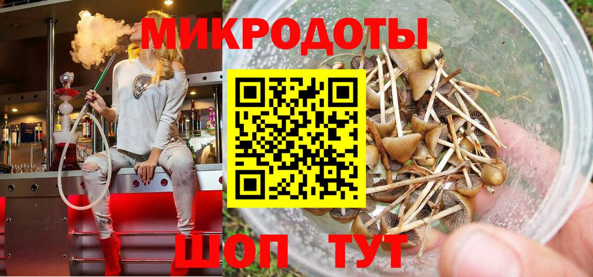 Псилоцибиновые грибы прущие грибы Кирово-Чепецк