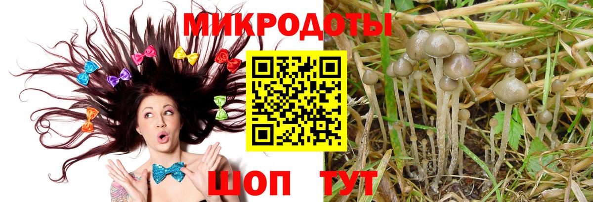 Псилоцибиновые грибы мицелий  Галлюциногенные грибы GOLDEN TEACHER  Кирово-Чепецк  Вход с VPN 